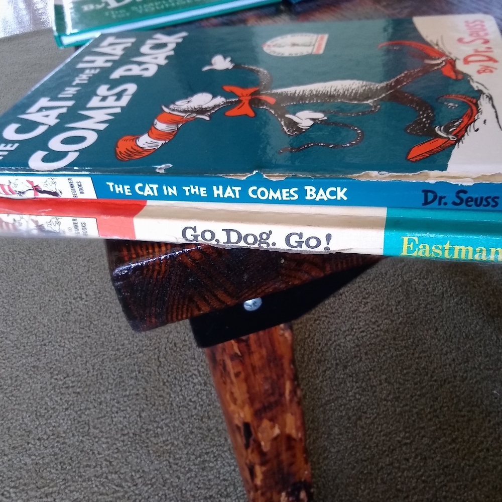 17 Book Bundle from the DR SEUSS series